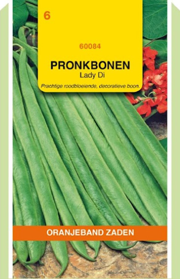 Pronkboon Lady Di (Phaseolus coccineus) 80 zaden